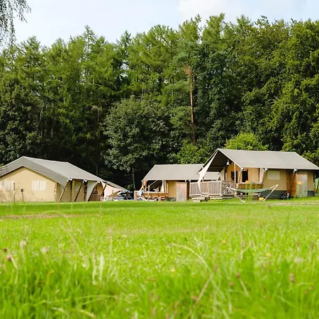 Роскошный шатер Glamping